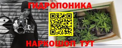 прущие грибы Ипатово